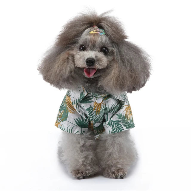 Camisa para mascotas #CodM