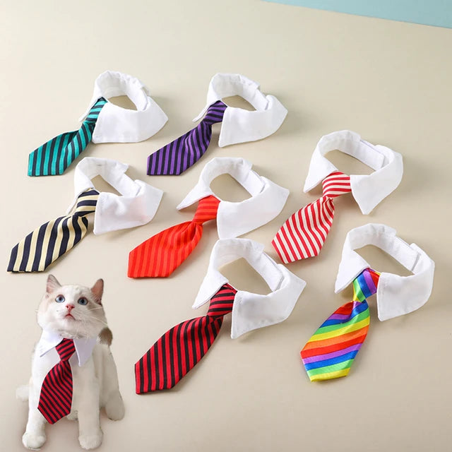 Corbata para mascotas #CodM