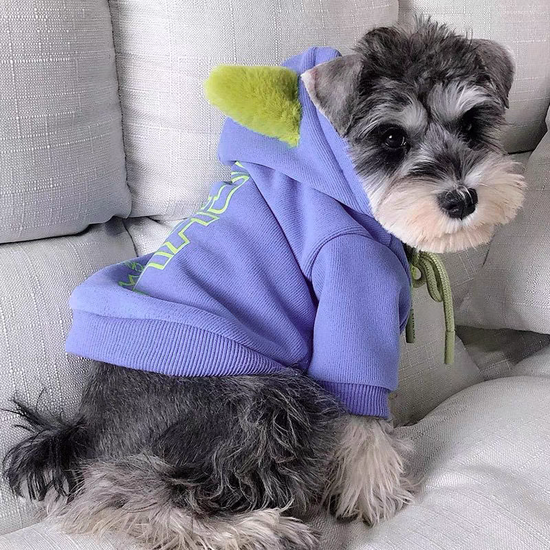 Suéter para mascota #CodU
