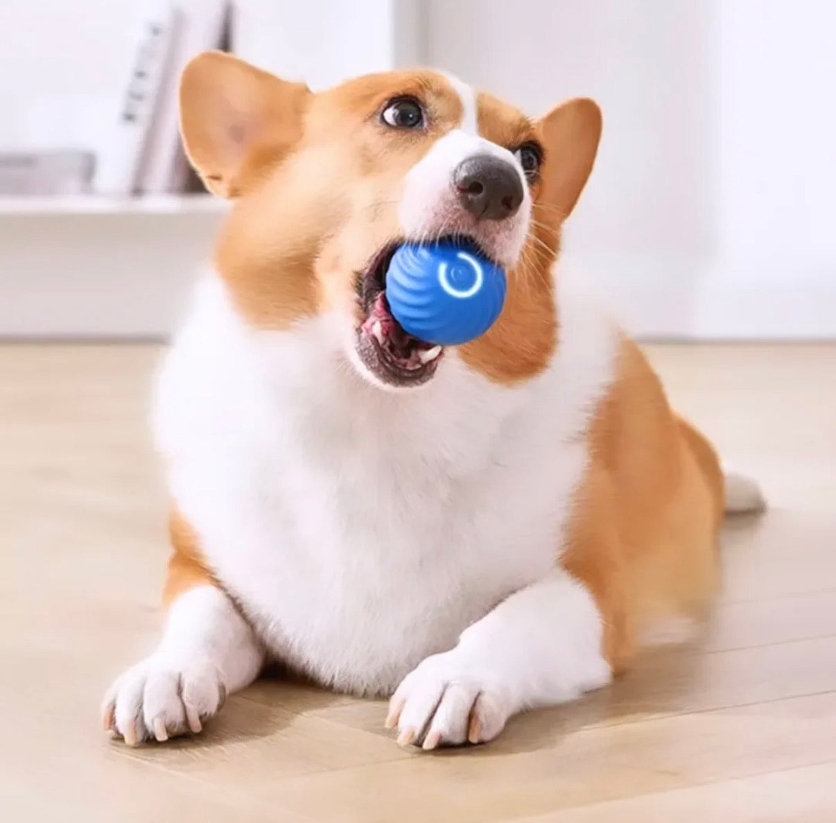 Pelota interactiva para mascotas #CodFM