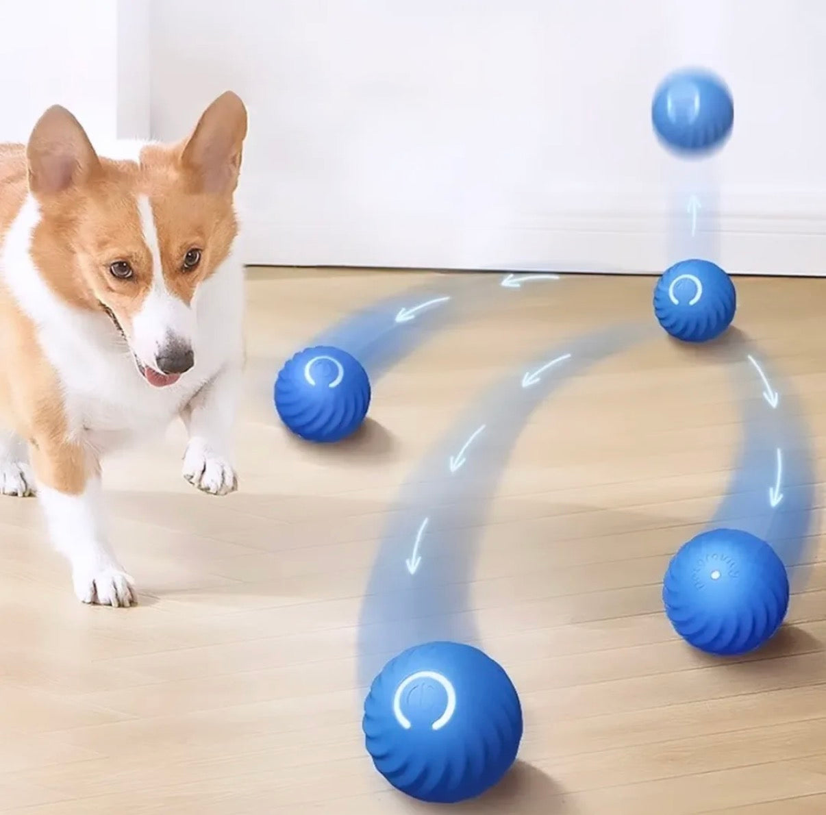 Pelota interactiva para mascotas #CodFM