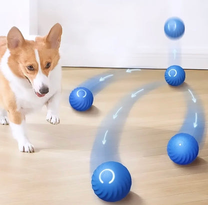 Pelota interactiva para mascotas #CodFM