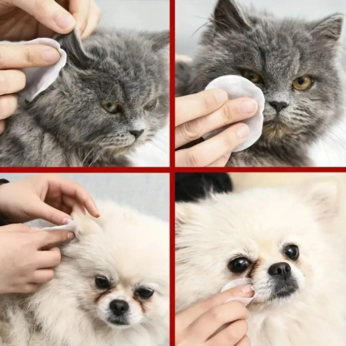 Toallitas para limpiar ojos y orejas de mascotas. #CodU