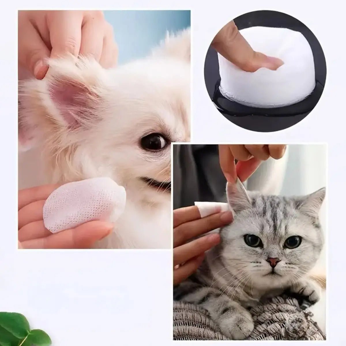 Toallitas para limpiar ojos y orejas de mascotas. #CodU