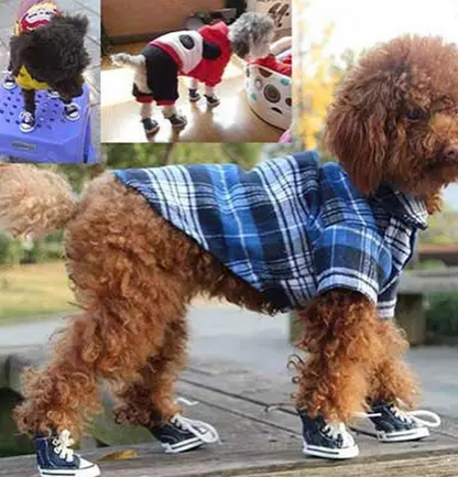 Zapatos converse para mascotas #CodU