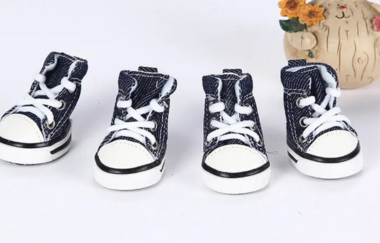 Zapatos converse para mascotas