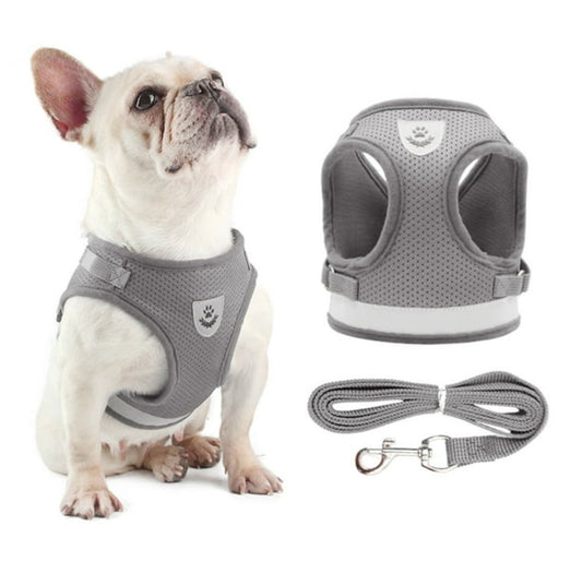 Pecheras para mascotas #CodM