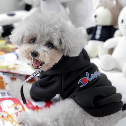 Suéter para mascota #CodU