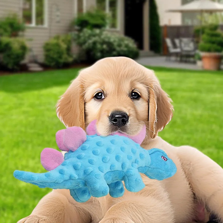 Juguetes para mascotas #CodU
