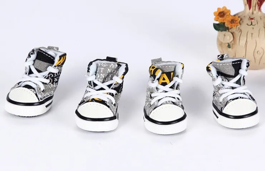 Zapatos converse para mascotas #CodU