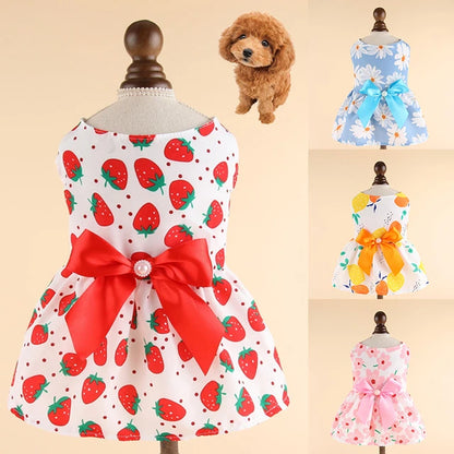 Vestido para mascotas