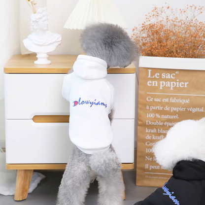 Suéter para mascota #CodU