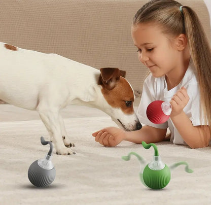 Pelota automática para perros #CodP