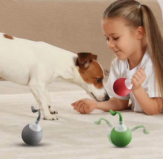 Pelota automática para perros #CodP