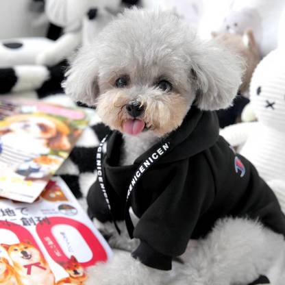 Suéter para mascota #CodU