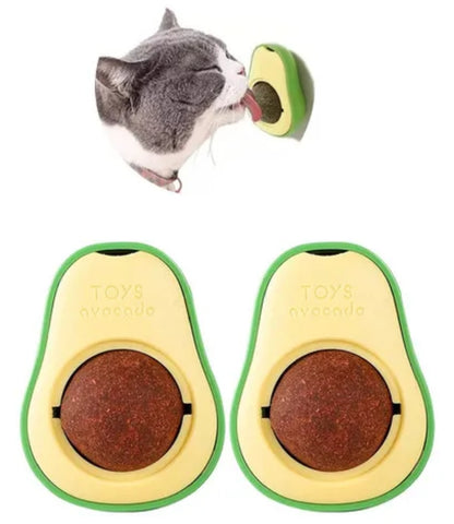 Hierba para gato #CodU