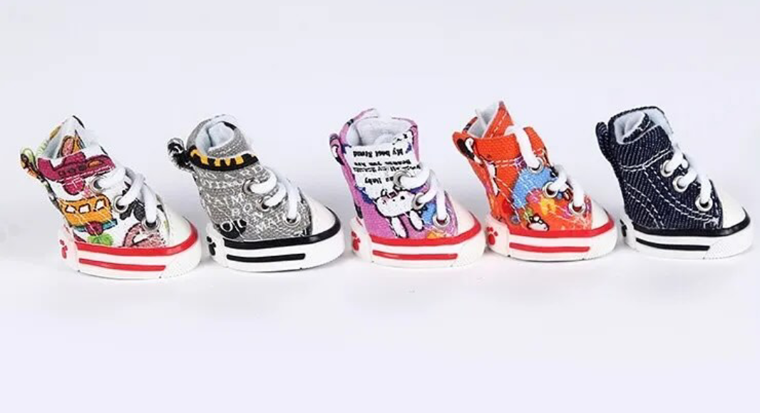 Zapatos converse para mascotas #CodU