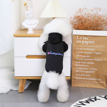 Suéter para mascota #CodU