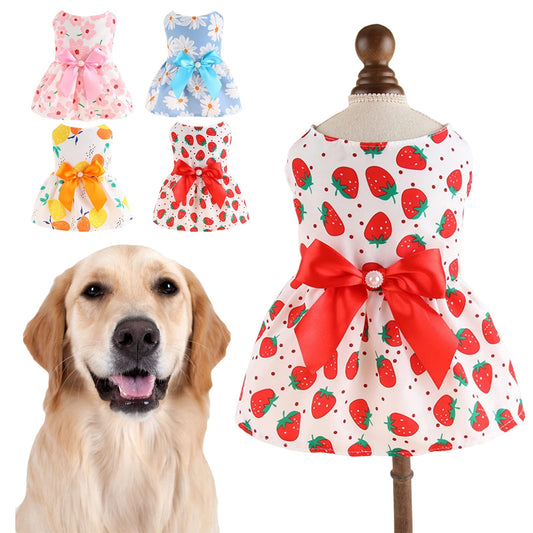 Vestido para mascotas