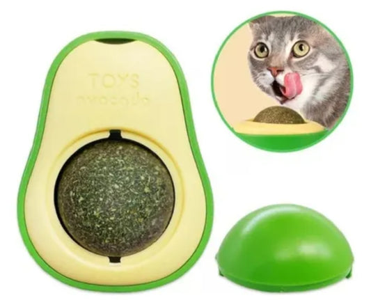 Hierba para gato #CodU